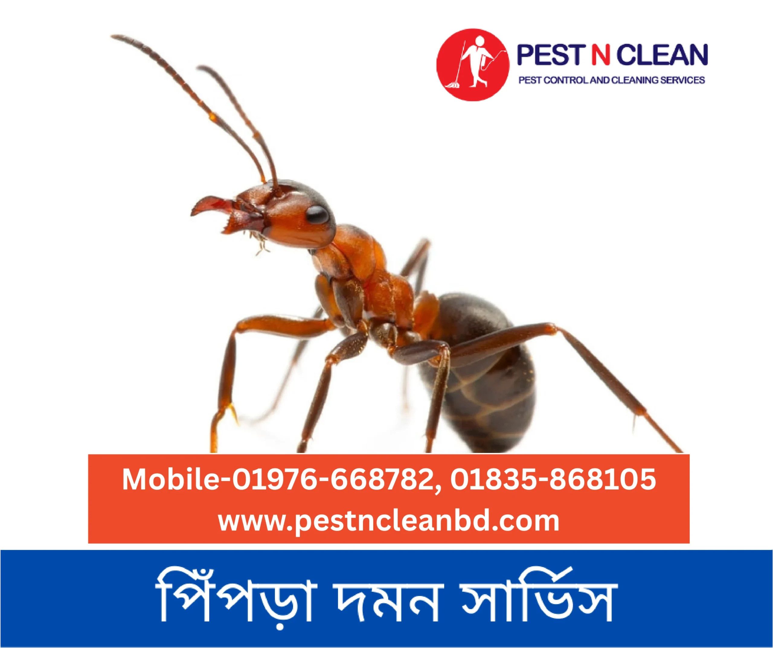 Ant Control Service